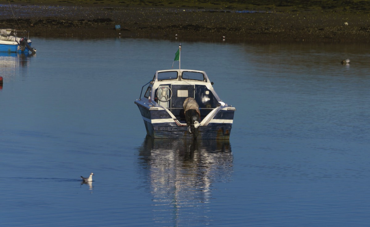 JANUARY 2013 VISIT TO MALAHIDE 026