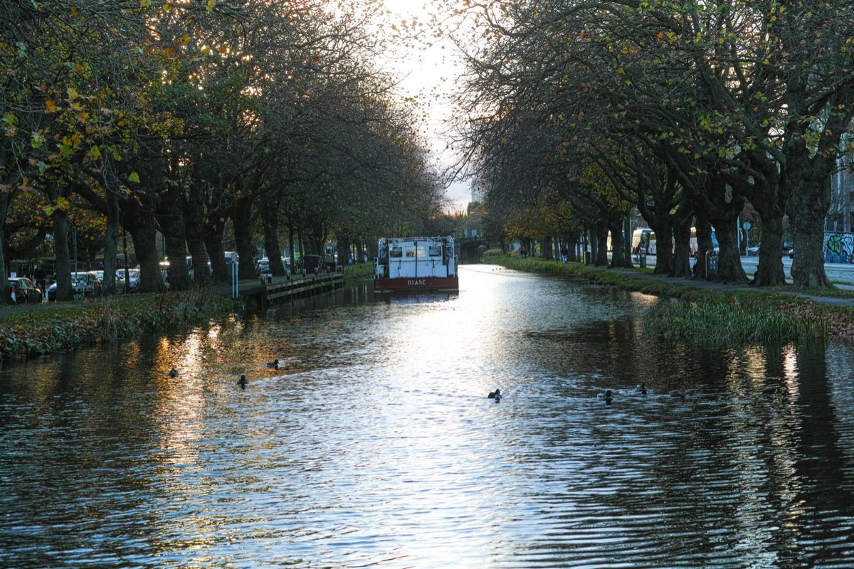 WILTON TERRACE NOVEMBER 2014  001