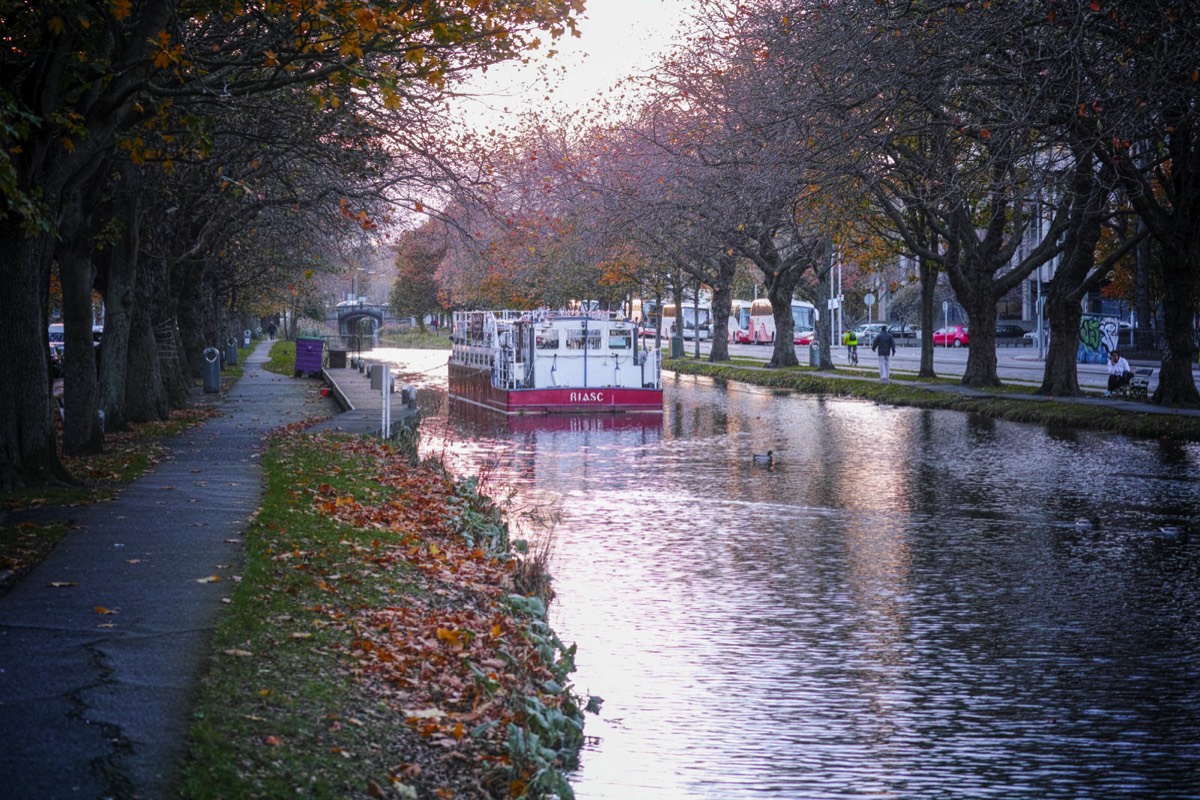 WILTON TERRACE NOVEMBER 2014  002
