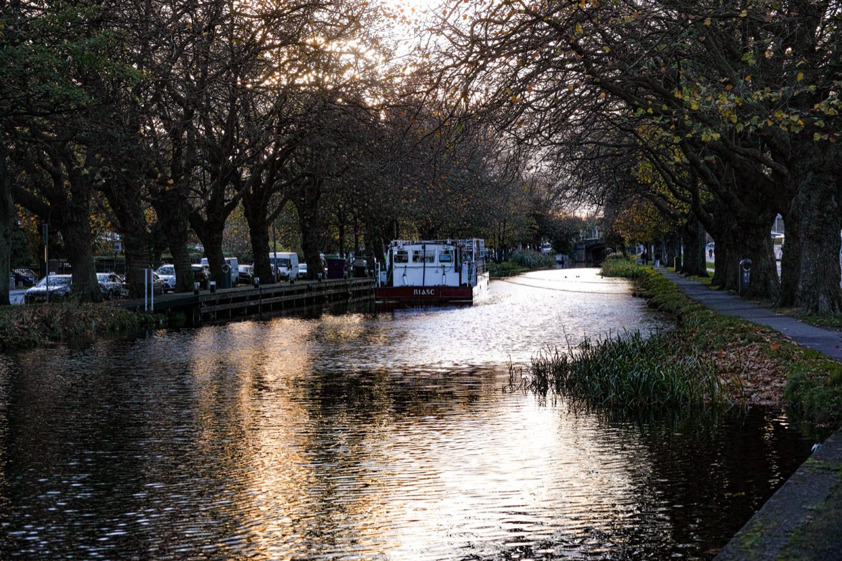 WILTON TERRACE NOVEMBER 2014  003