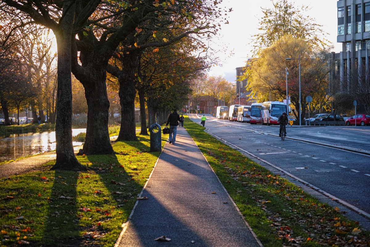 WILTON TERRACE NOVEMBER 2014  005