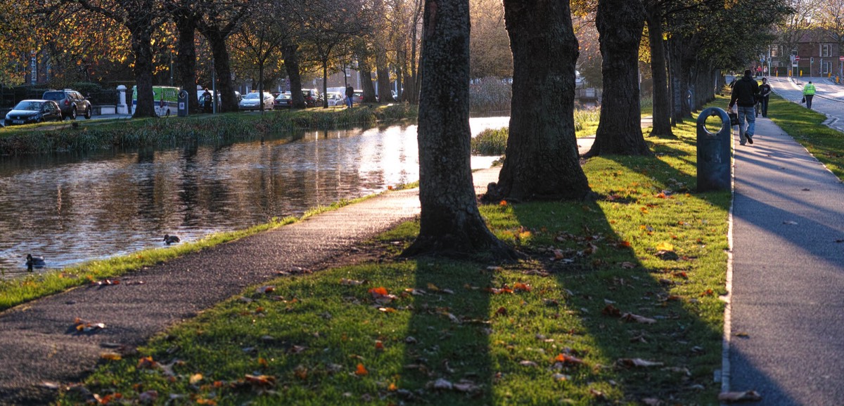 WILTON TERRACE NOVEMBER 2014  006
