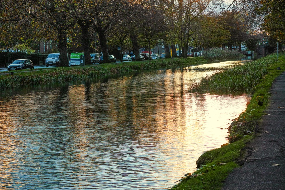 WILTON TERRACE NOVEMBER 2014  009