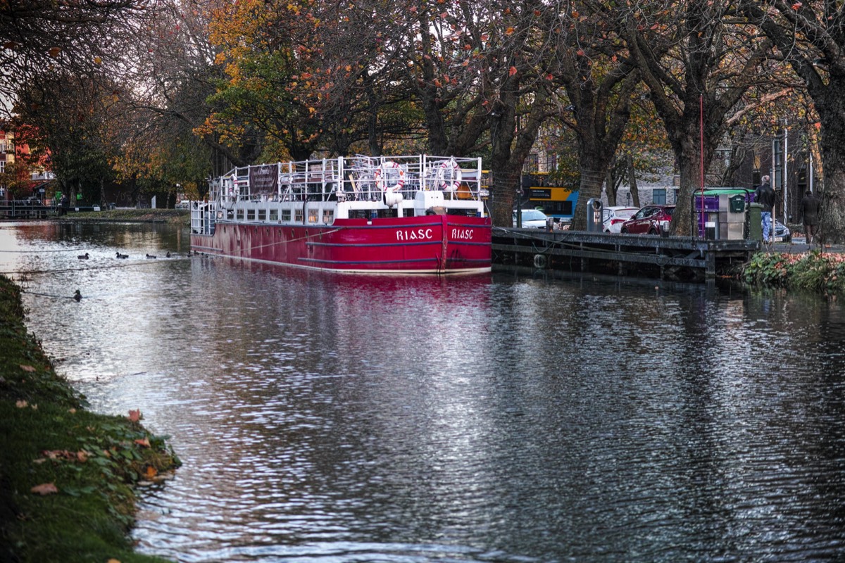 WILTON TERRACE NOVEMBER 2014  010