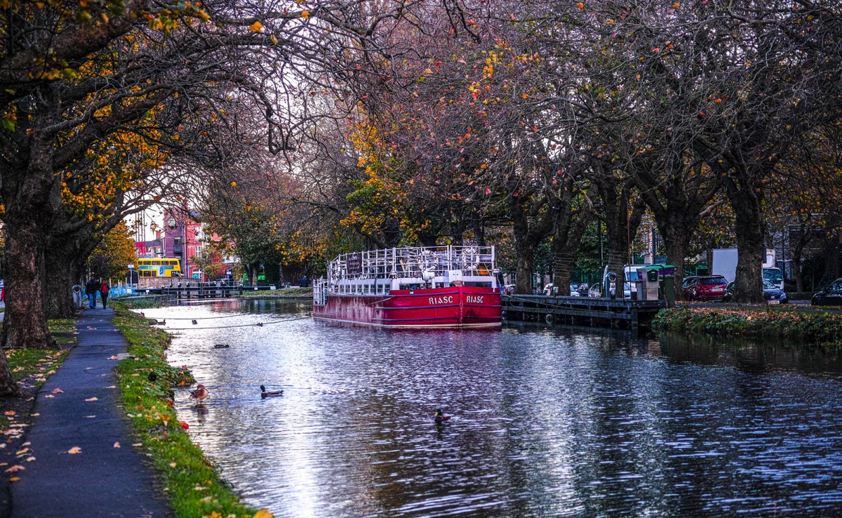 WILTON TERRACE NOVEMBER 2014  011
