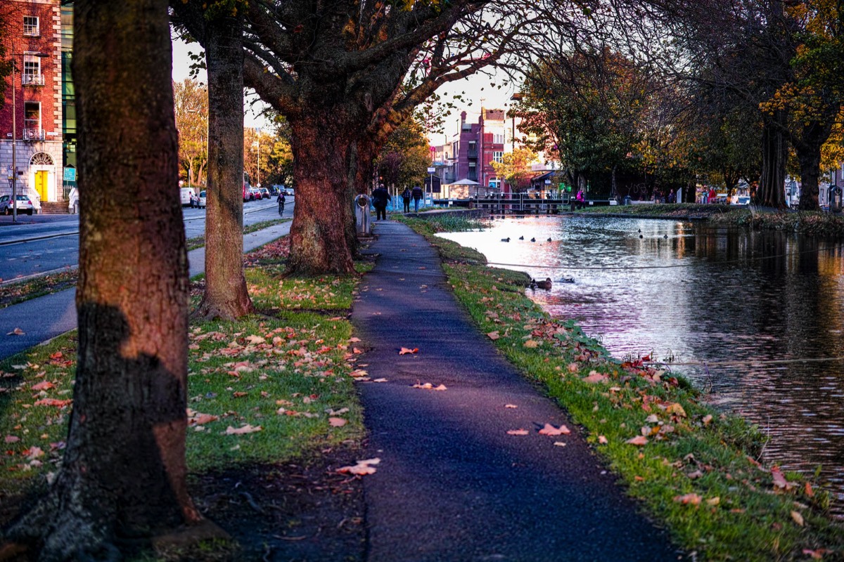 WILTON TERRACE NOVEMBER 2014  012