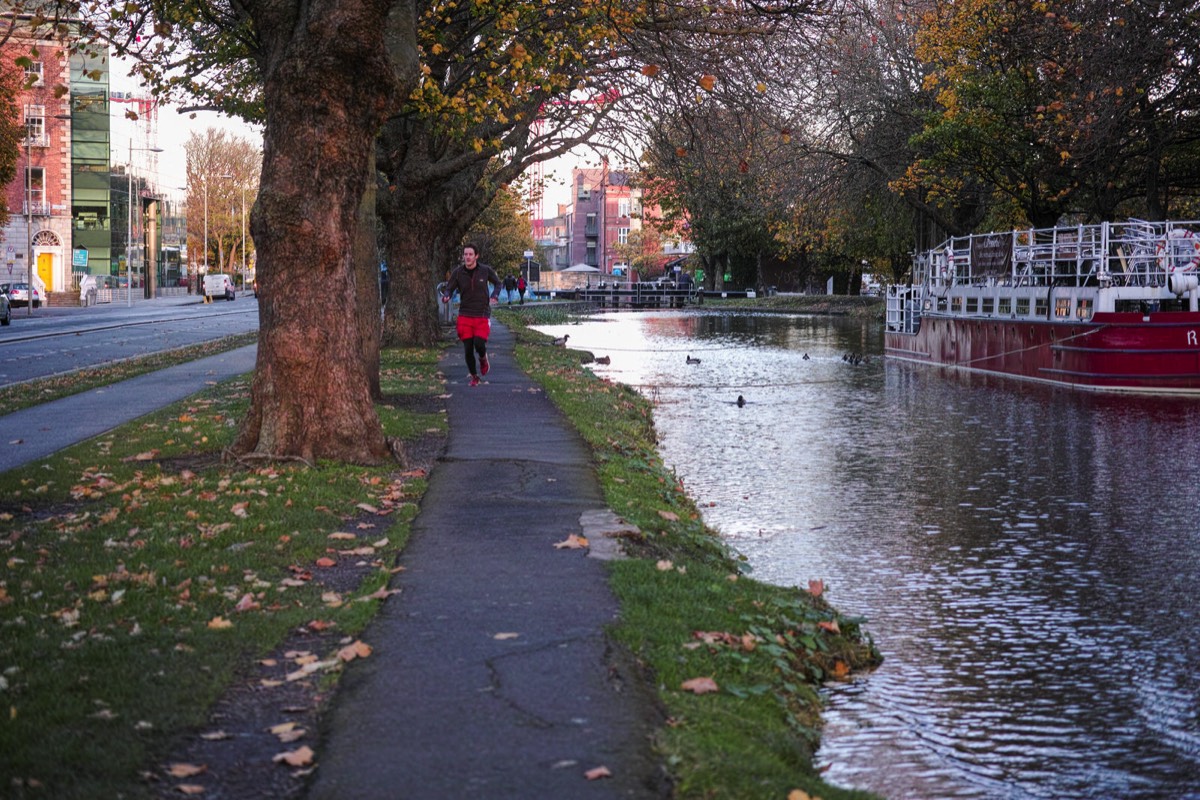 WILTON TERRACE NOVEMBER 2014  014