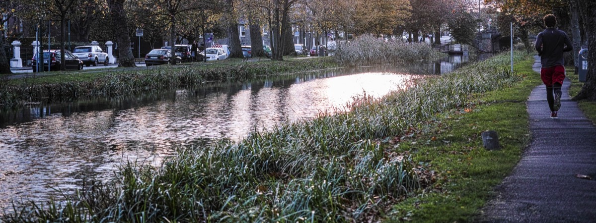 WILTON TERRACE NOVEMBER 2014  015