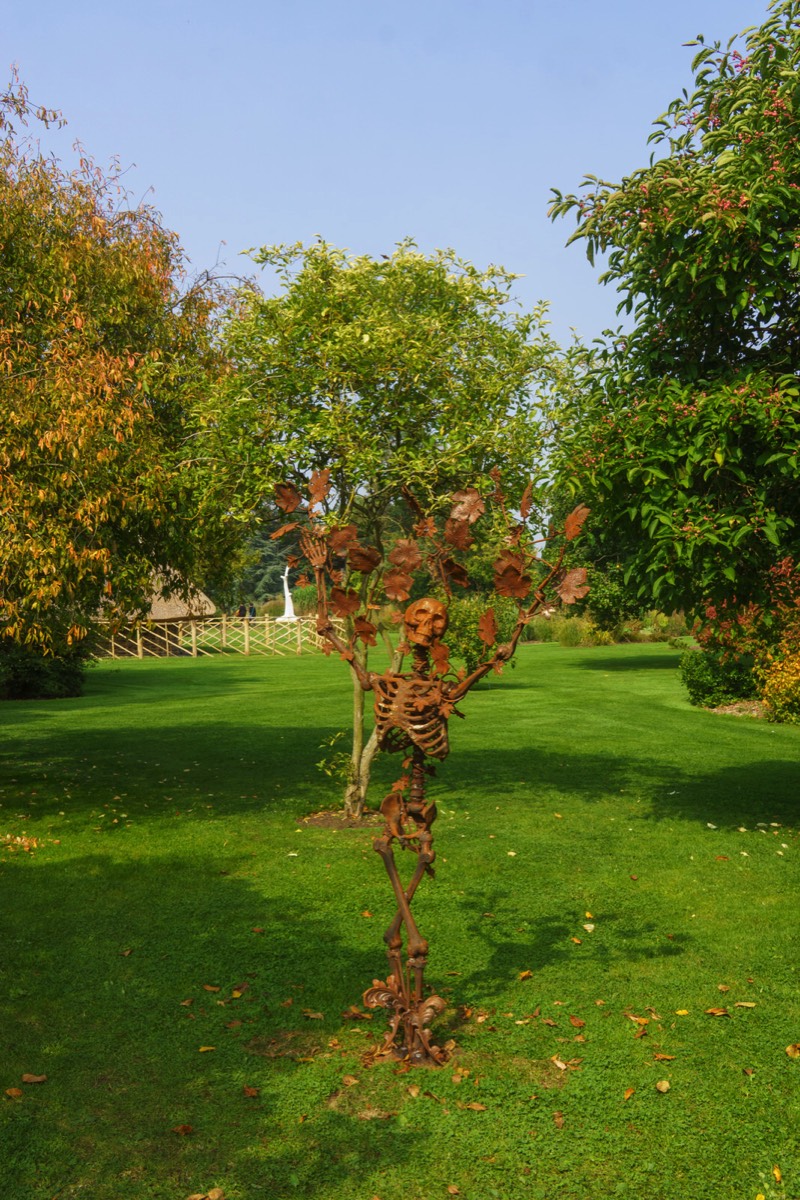 TREE OF KNOWLEDGE BY BRIAN BYRNE 003