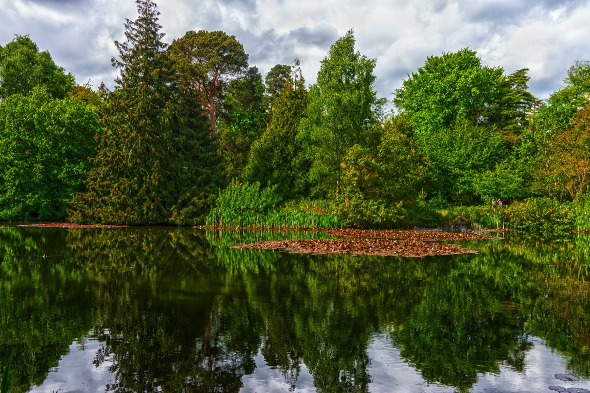 FARMLEIGH ESTATE - HOUSE AND GARDENS  007