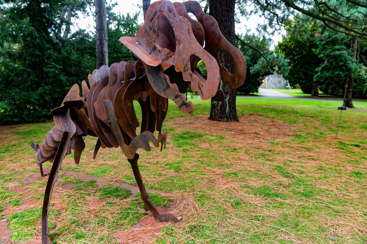 THE DINOSAURS BY BRIAN SYNNOTT 002